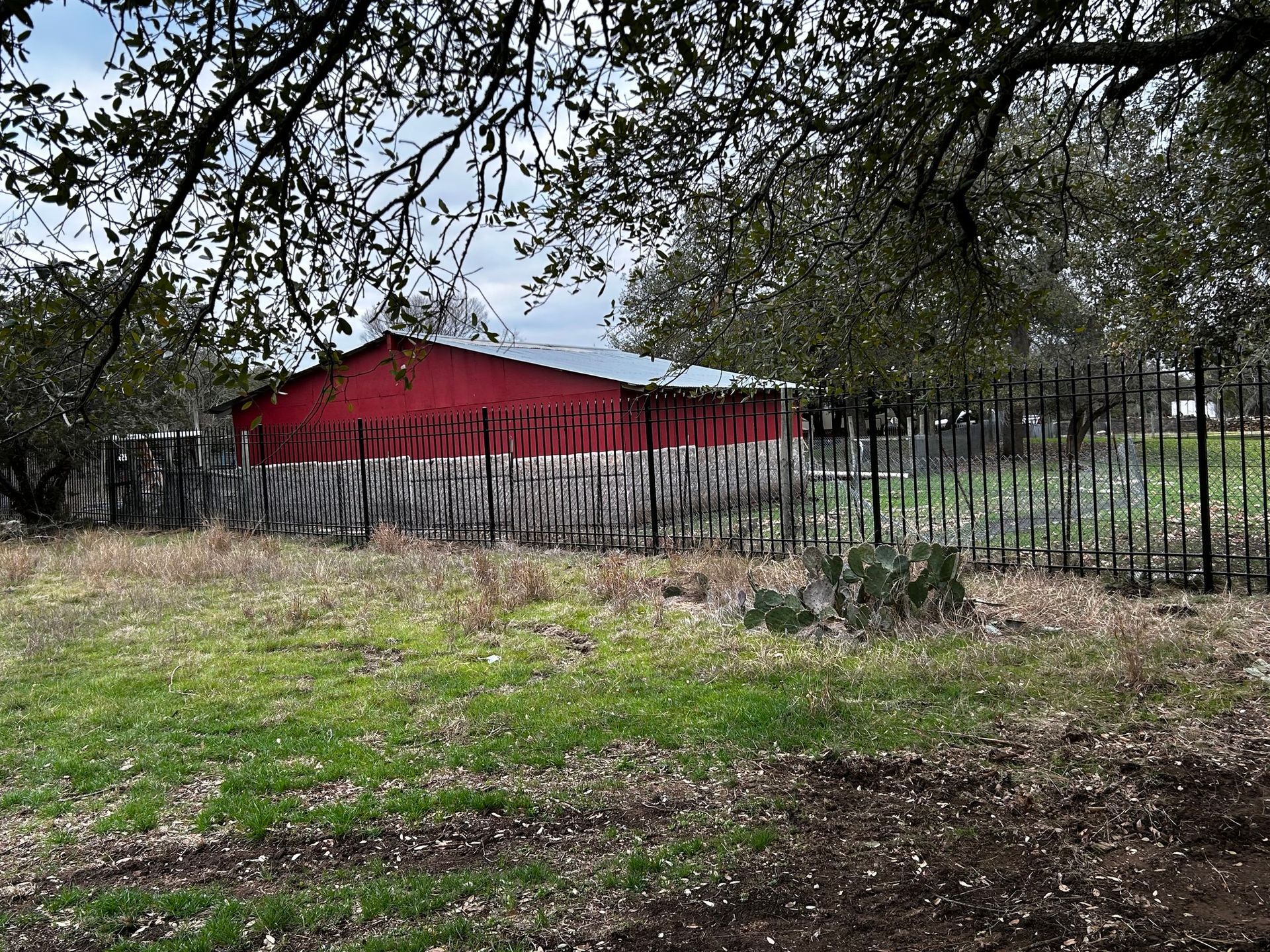Red and white barn behind a weathered wooden fence and black metal fence, under tree branches.