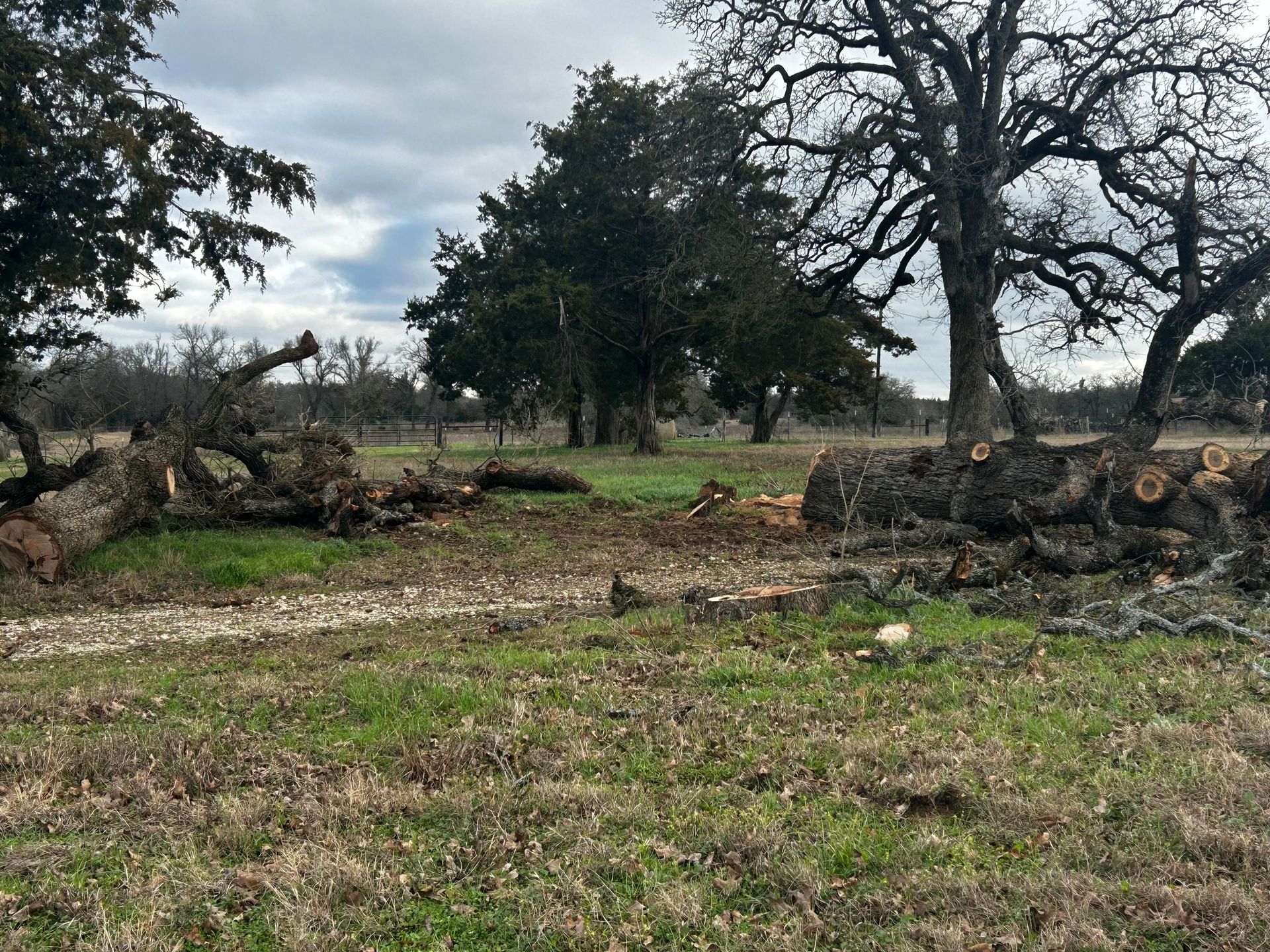 Black pipe partially buried in dirt next to a grassy area and trees. A headstone is visible in the background.