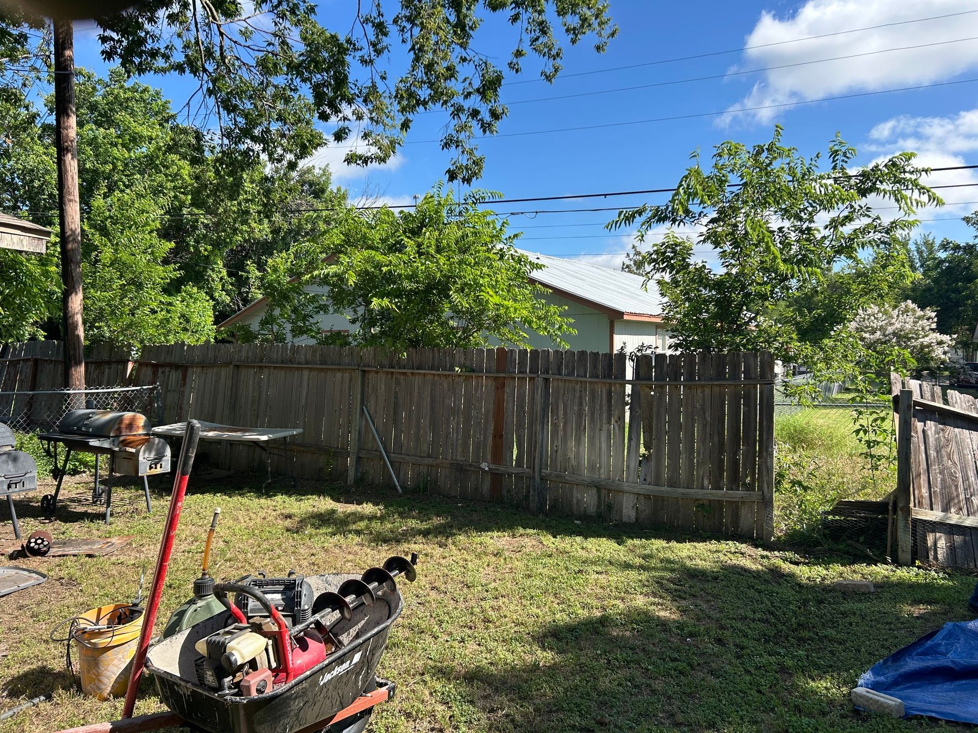 Backyard scene: a wooden fence, green grass, a wheelbarrow with a motor, and trees under a blue sky.