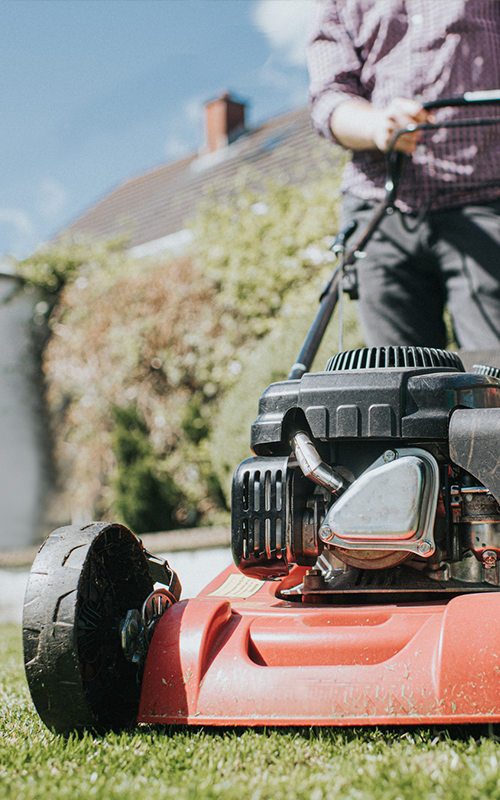 Man mowing a lawn with a red lawnmower on a sunny day.