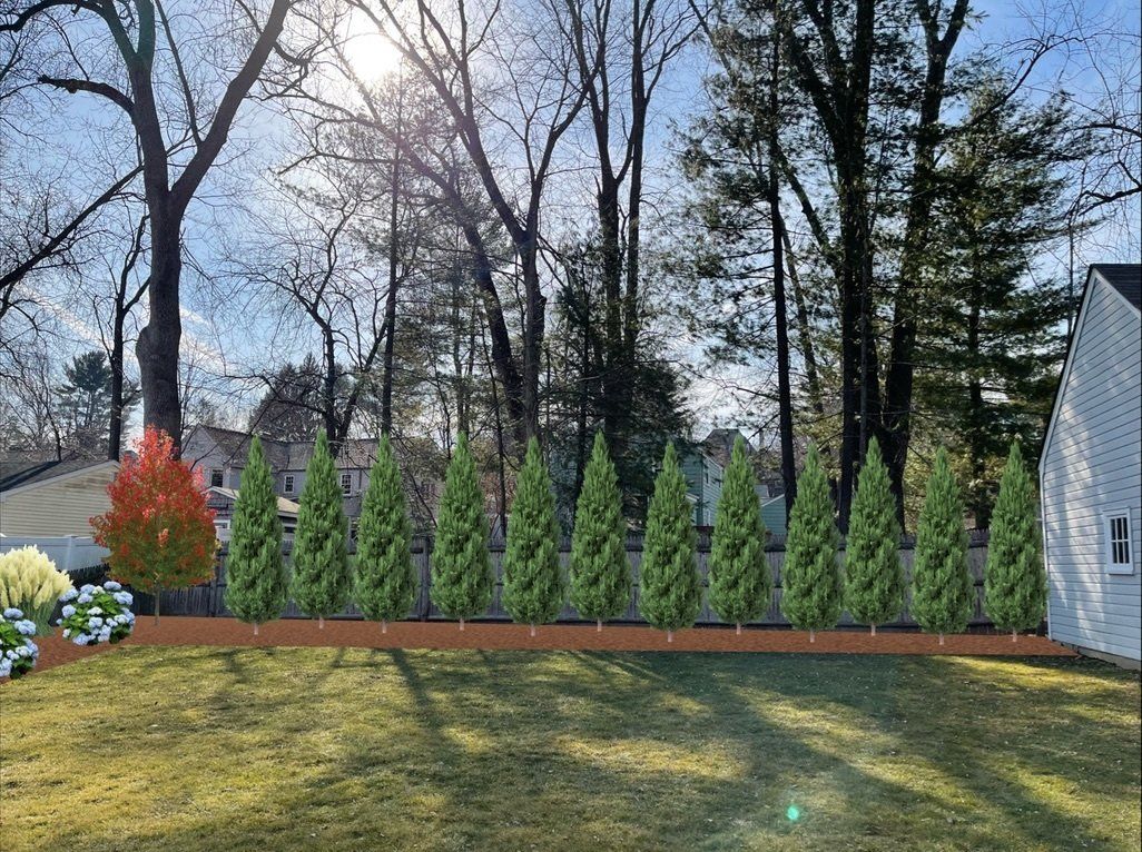 Arborvitae Wall Landscape Design West Hartford, CT, Connecticut Landscape Solutions, LLC