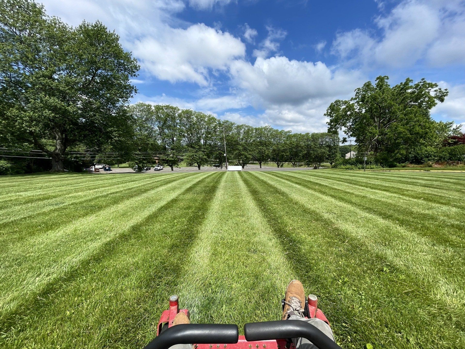 Commercial Lawn Care & Landscape Service West Hartford & Newington CT Connecticut