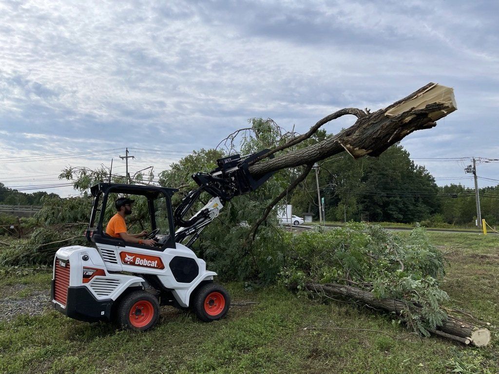 Commercial Land Clearing in West Hartford, CT Connecticut Landscape Solutions with BobCat L28