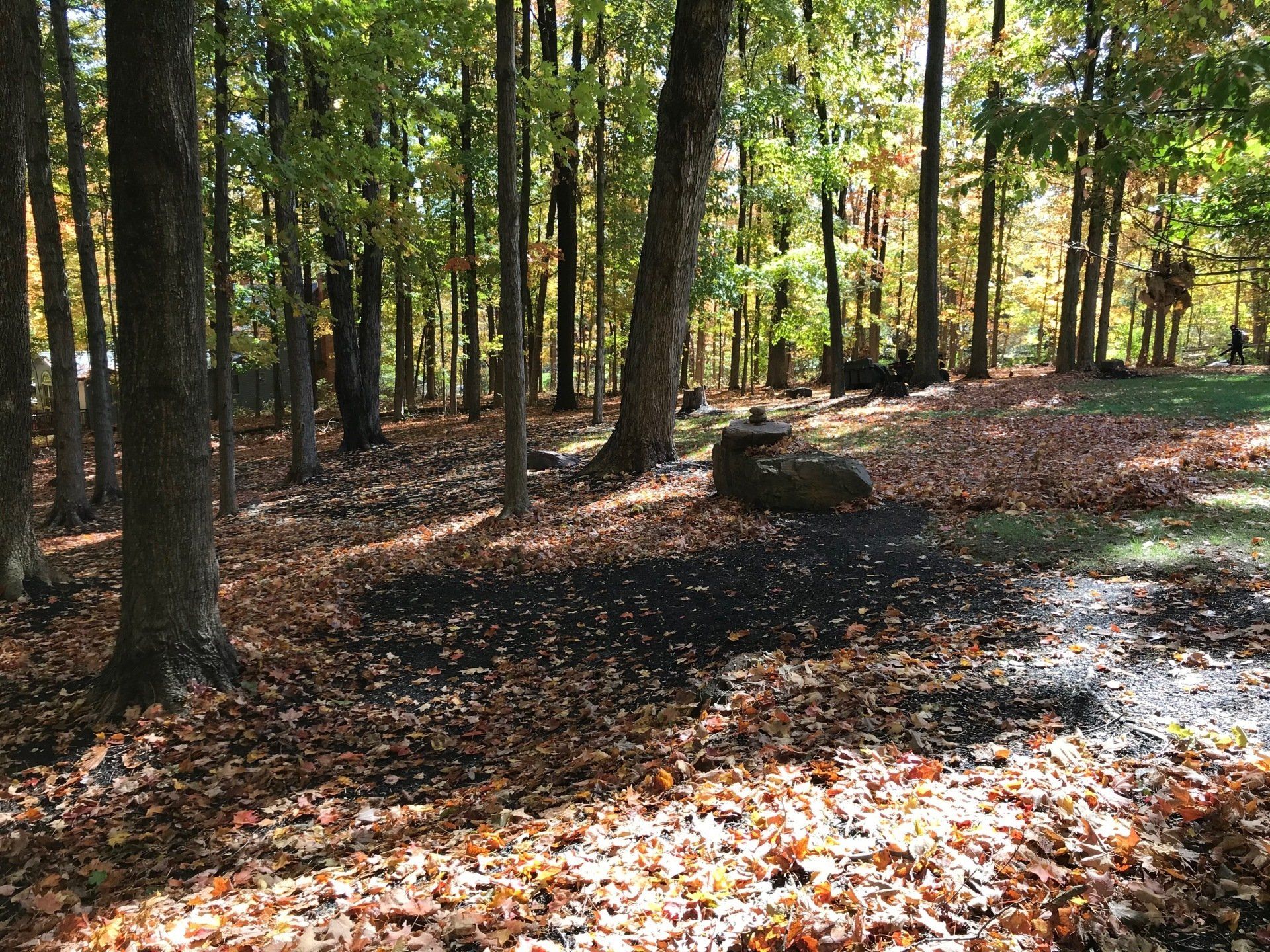 Fall Cleanup in Mulch Bed West Hartford CT
