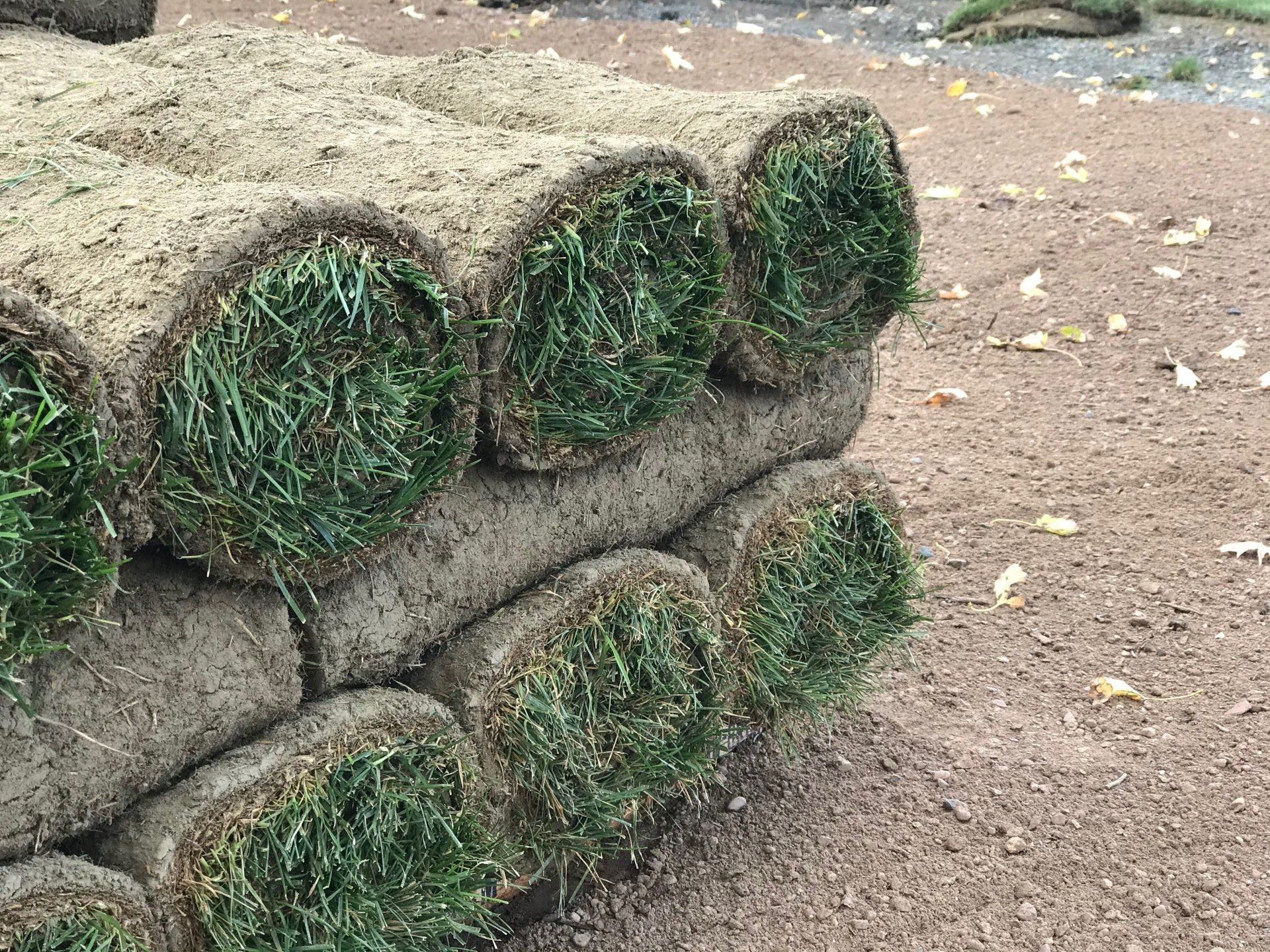 New Lawn Install Sod Installation West Hartford, Connecticut Landscape Solutions