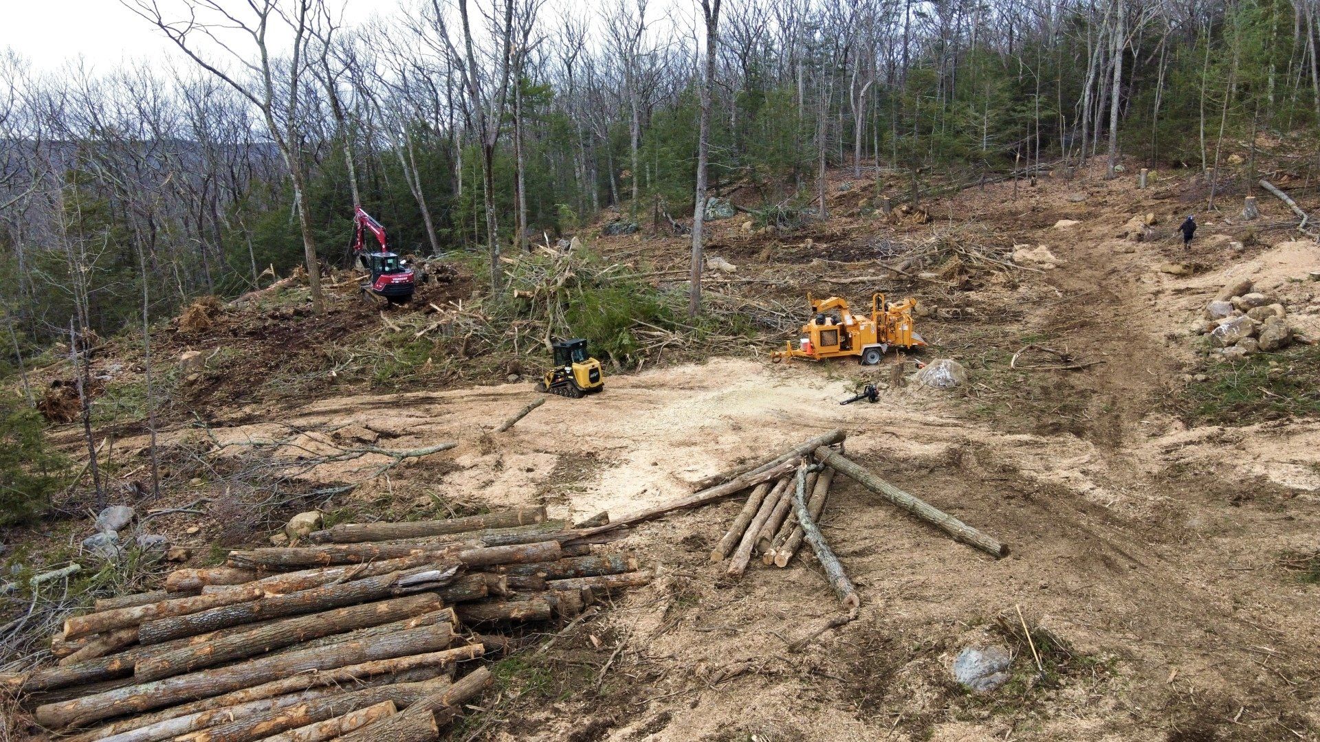 Forest Clearing ASV RT40 Site Prep Landscape Clearing Construction in Simsbury Canton Connecticut Landscape Solutions