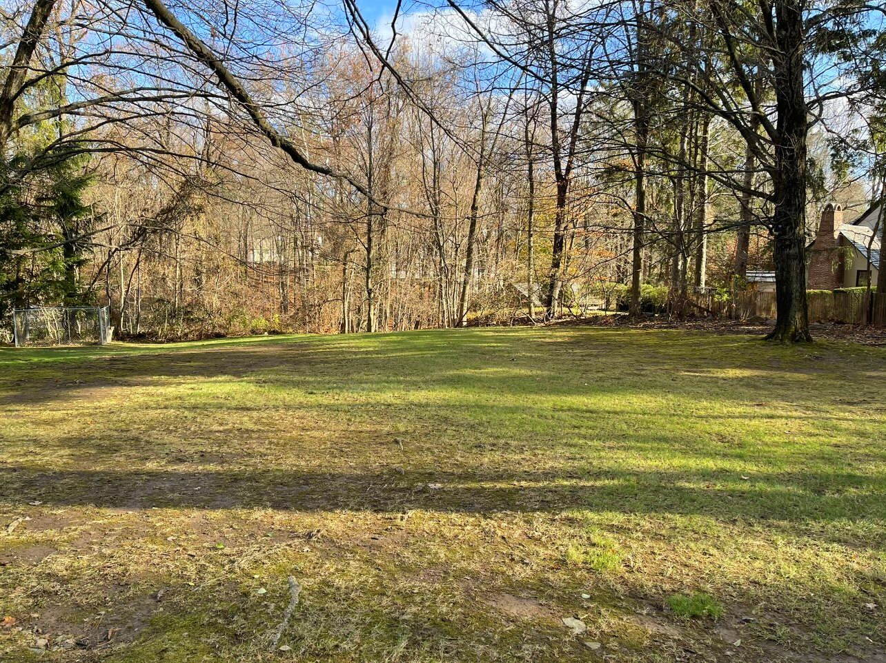 Mountain Road West Hartford Lawn after a leaf cleanup in November