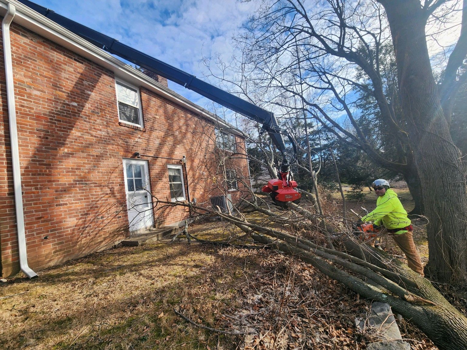Emergency Tree Work Removal Company working in West Hartford, CT
