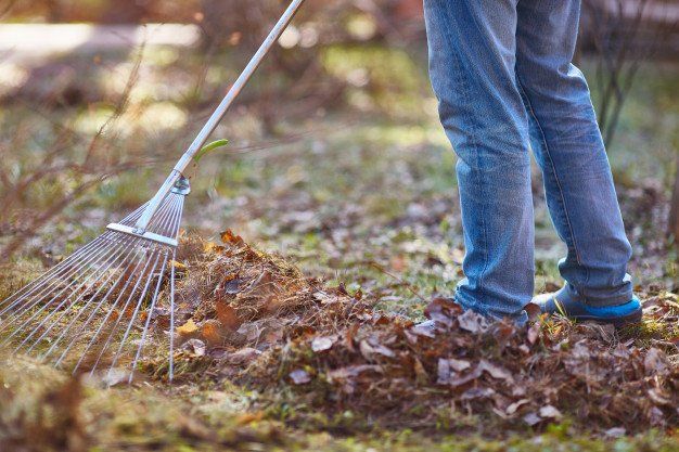 West Hartford Fall Cleanups