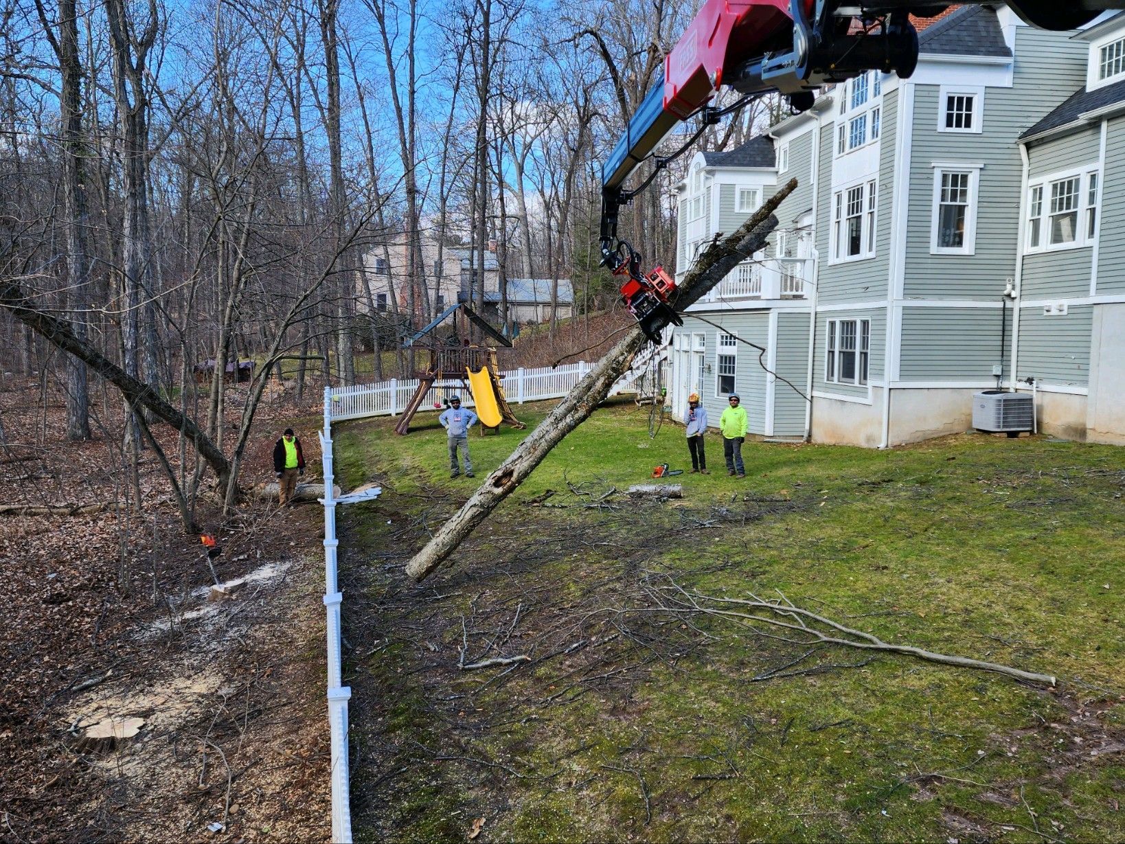 tree removal company in West Hartford, Connecticut Landscape Solutions