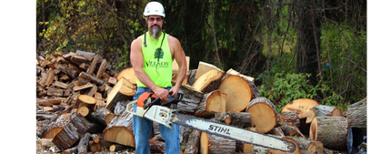 Tree Removal — North Huntingdon, PA — Nelson Tree Company