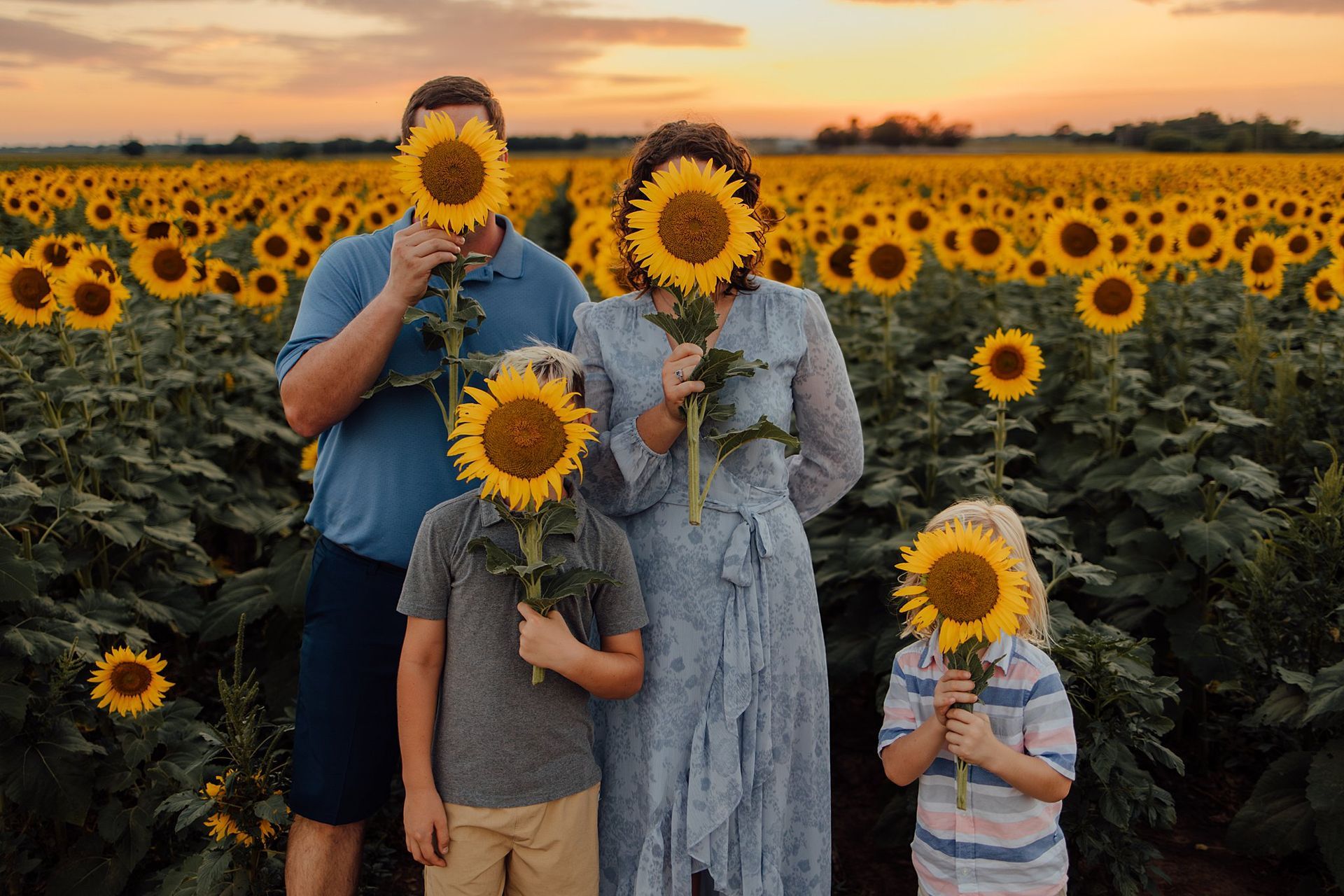 Family in a sunflower field, covering faces with sunflowers at sunset.