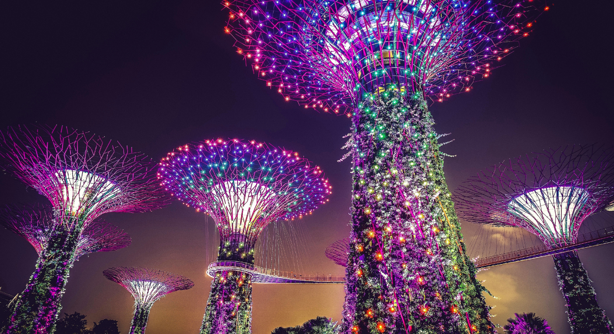Colorful illuminated tree-like sculptures glowing at night in a park or garden