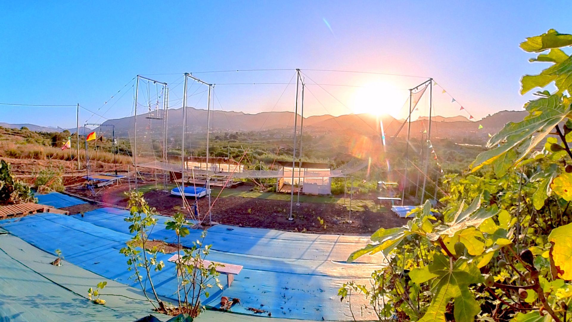 All Volante piante bellezza