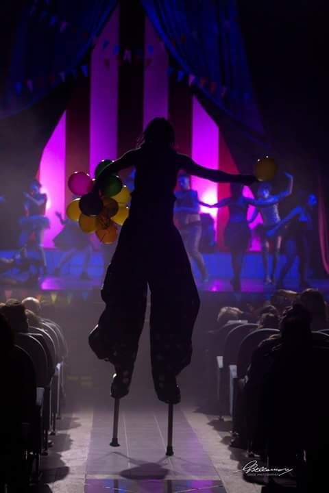 All Volante trampoliere