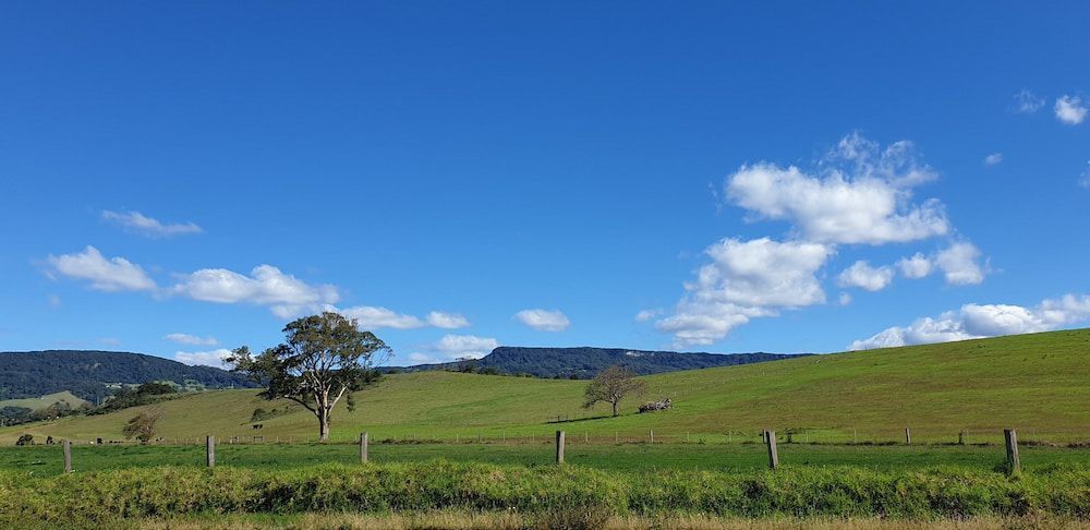 A Fenced In Field With Trees And Mountains — Burnetts On Barney in Jamberoo, NSW