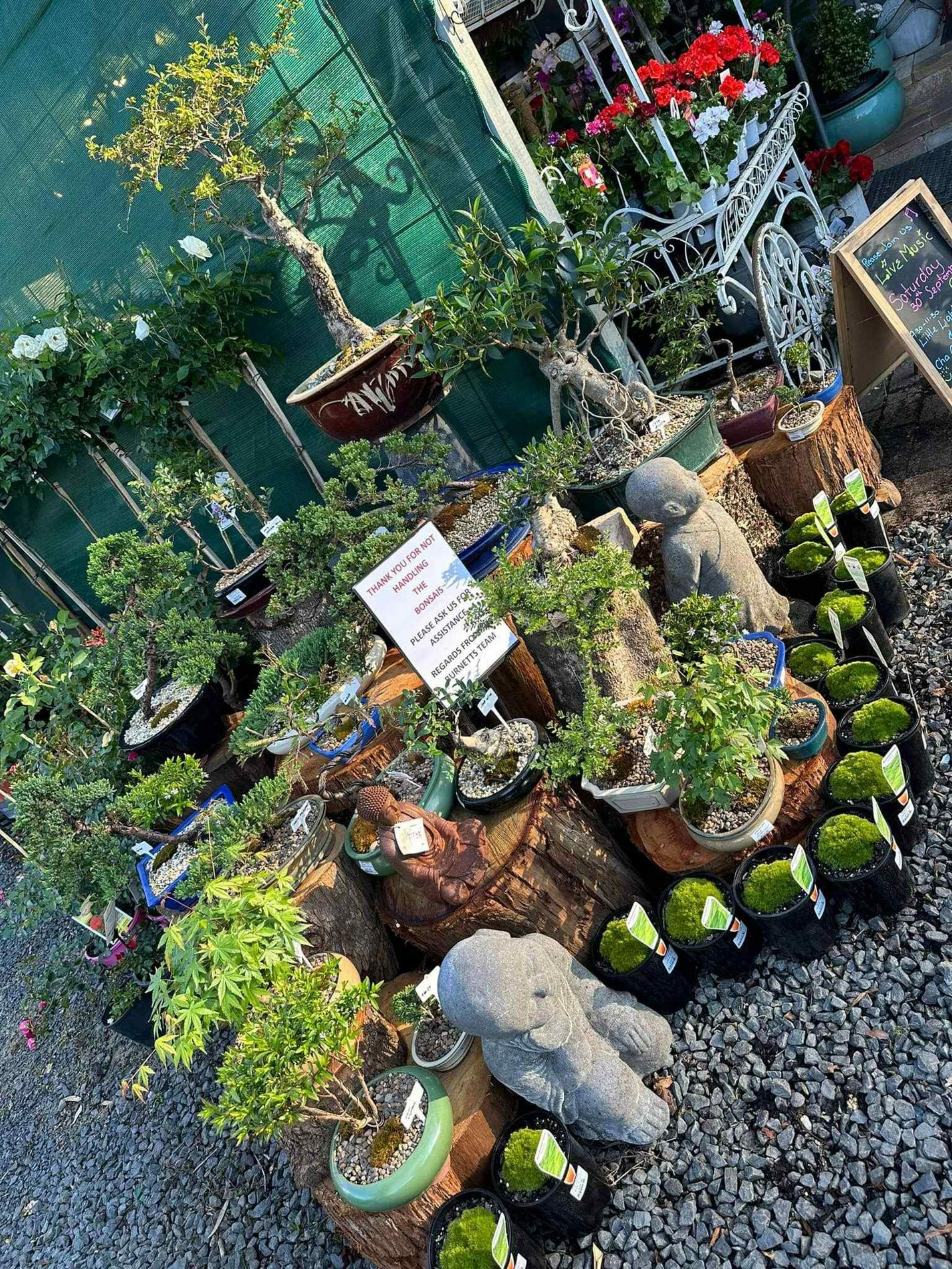 Small Outdoor Garden Display with Potted Plants — Burnetts On Barney in Kiama, NSW