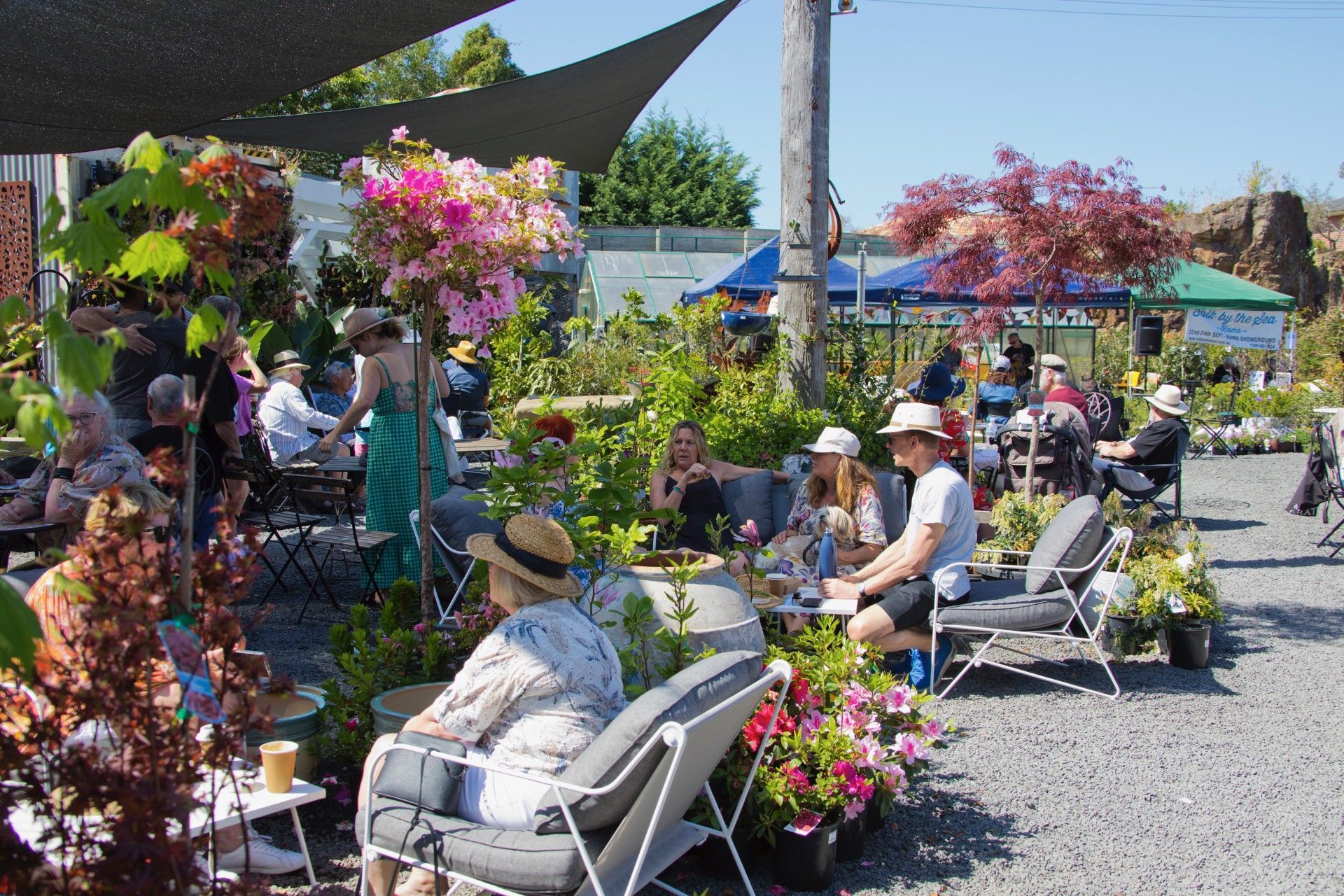 A Group of Colourful Flowers
— Burnetts On Barney in Kiama, NSW