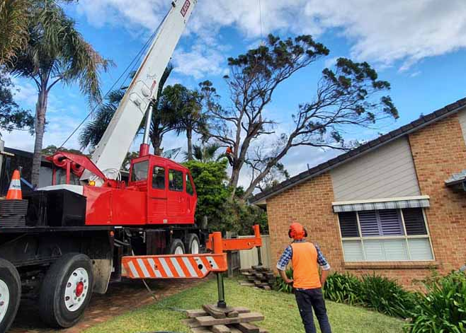 Construction Worker — Burnetts On Barney in Kiama, NSW