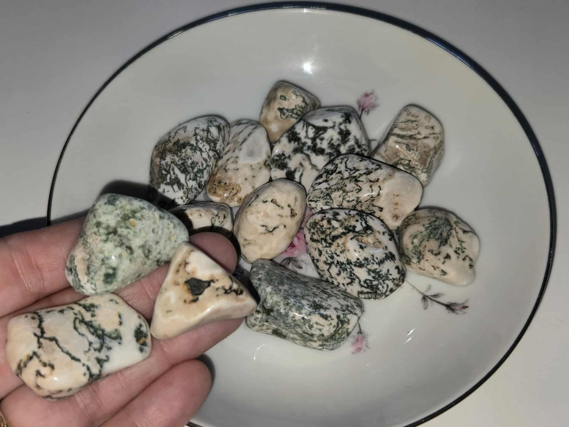 Tumbled Tree Agate
