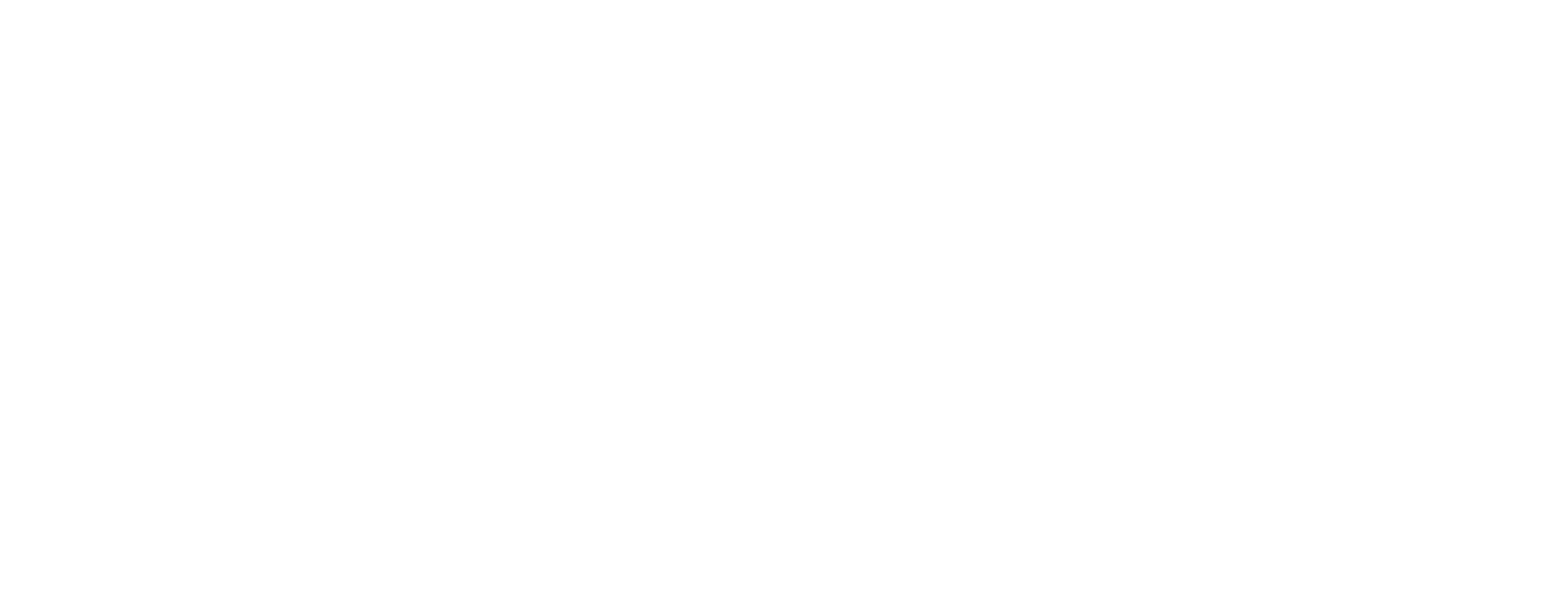 Company Logo - Footer