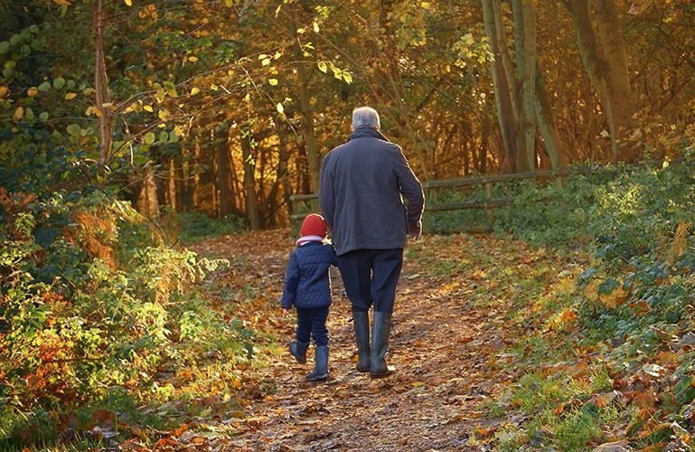 A person and a child walk down a path in a wooded area, holding hands; autumn leaves.
