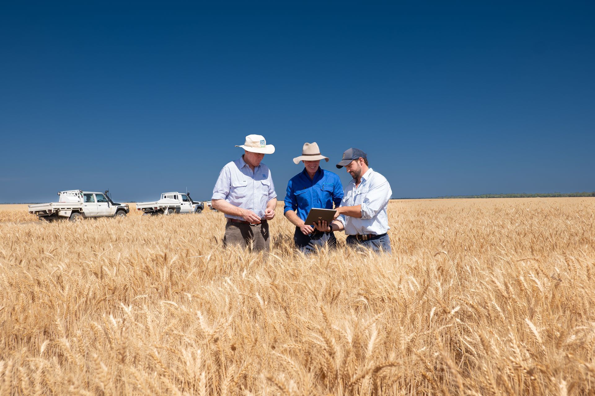 Three people in hats examine a tablet in a wheat field; two trucks visible in background, blue sky.