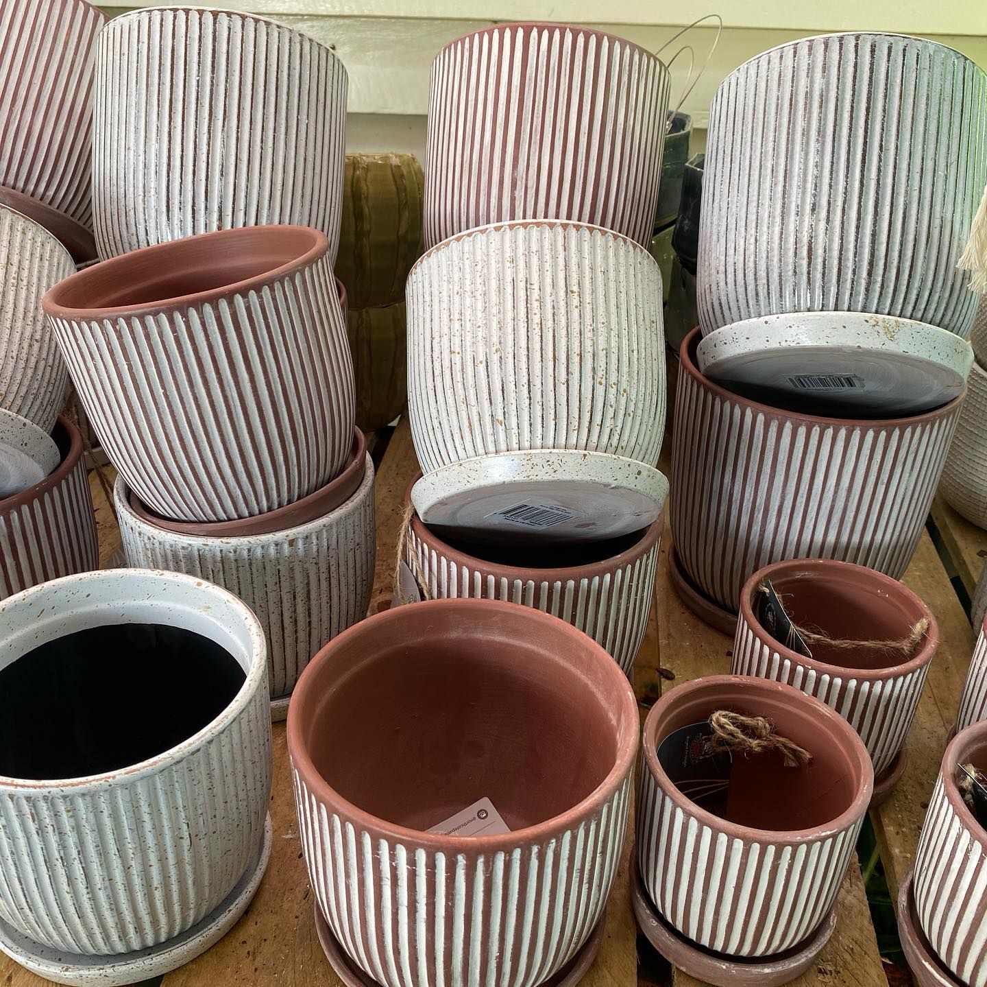 Assortment of Textured White and Terracotta Striped Ceramic Plant Pots — Hinterland Foliage in Landsborough, QLD