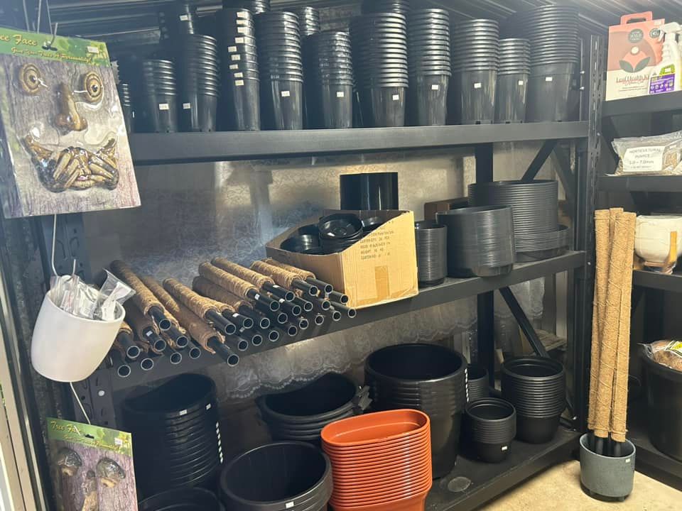 Shelves Filled With Various Black and Terracotta Plant Pots — Hinterland Foliage in Landsborough, QLD