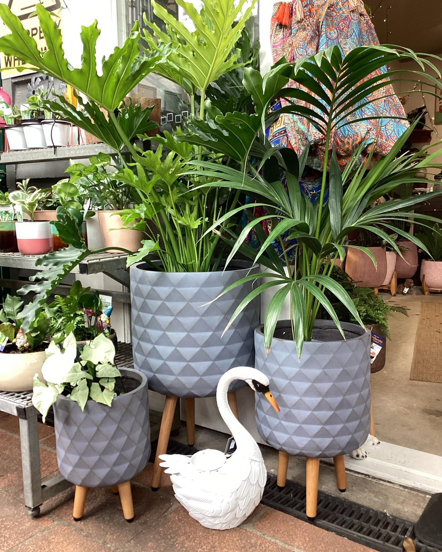 Potted Plants in Gray Geometric Planters on Wooden Legs — Hinterland Foliage in Landsborough, QLD