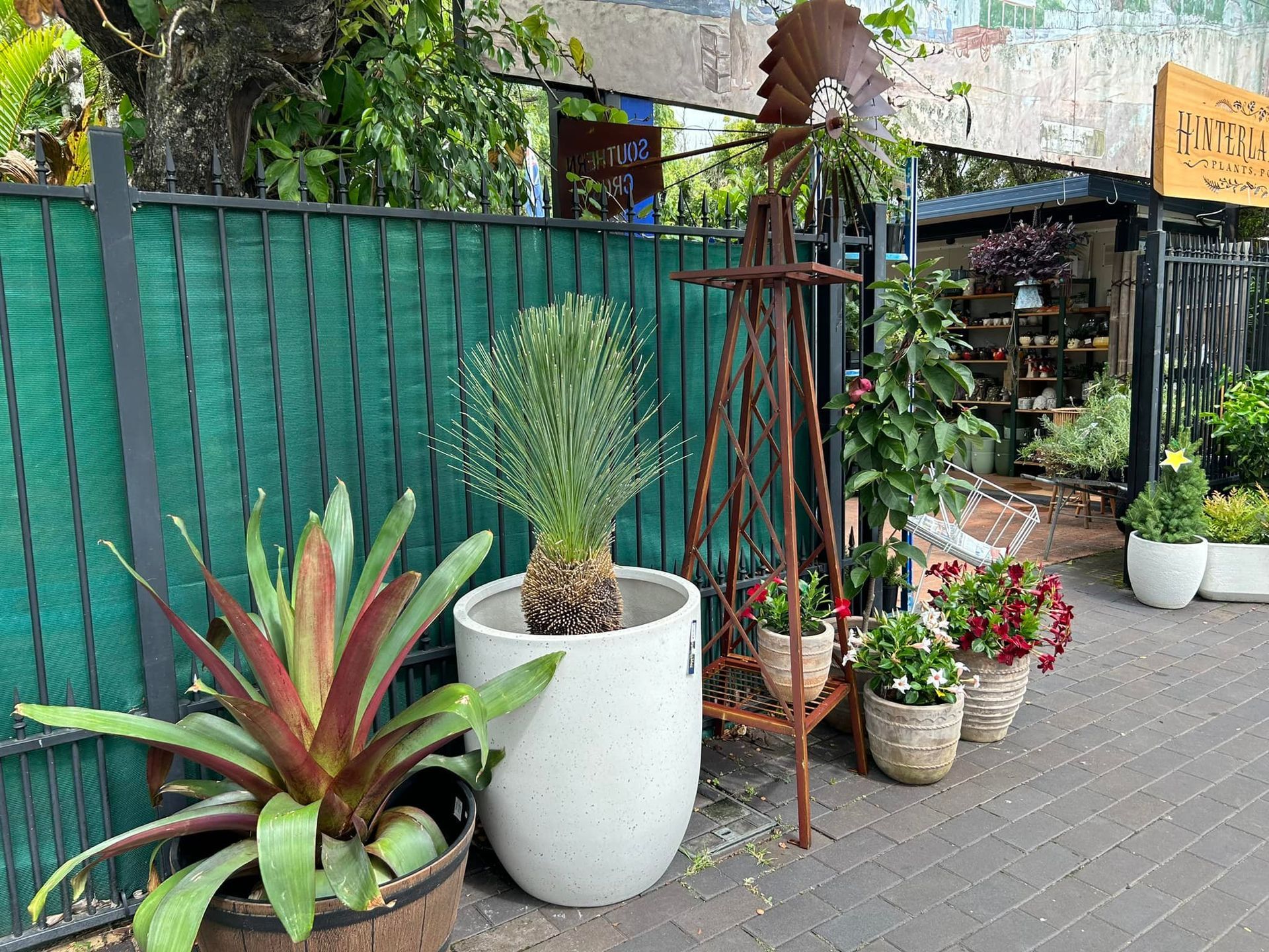 Plants in Pots Displayed Outside a Shop With a Decorative Windmill — Hinterland Foliage in Landsborough, QLD