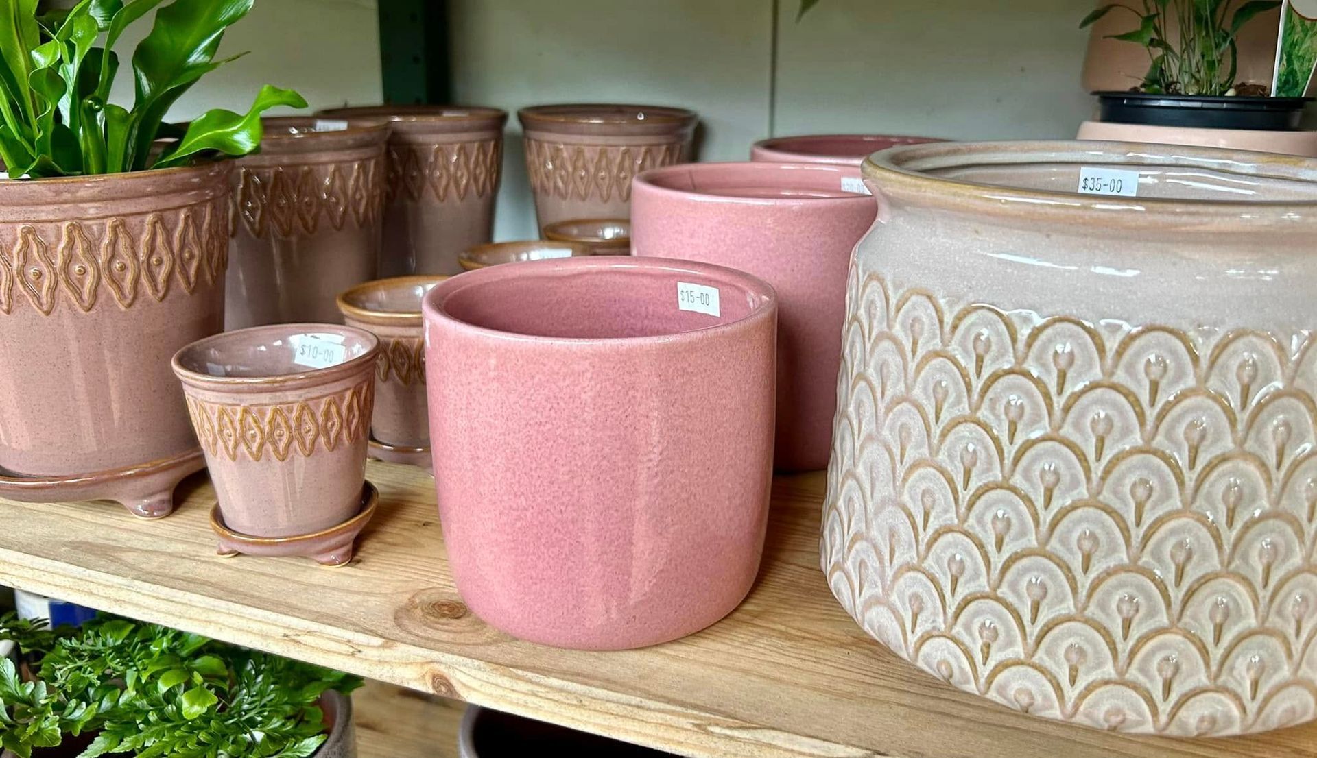 Pink and Brown Ceramic Flower Pots on a Wooden Shelf, Various Sizes and Patterns — Hinterland Foliage in Landsborough, QLD