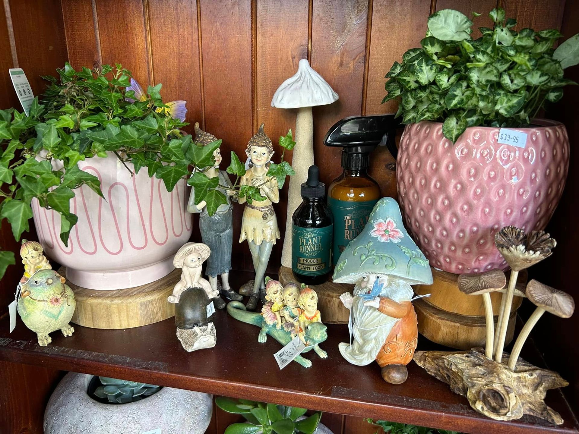 Shelf Display With Plants, Fairy Figurines, Mushroom Decor — Hinterland Foliage in Landsborough, QLD