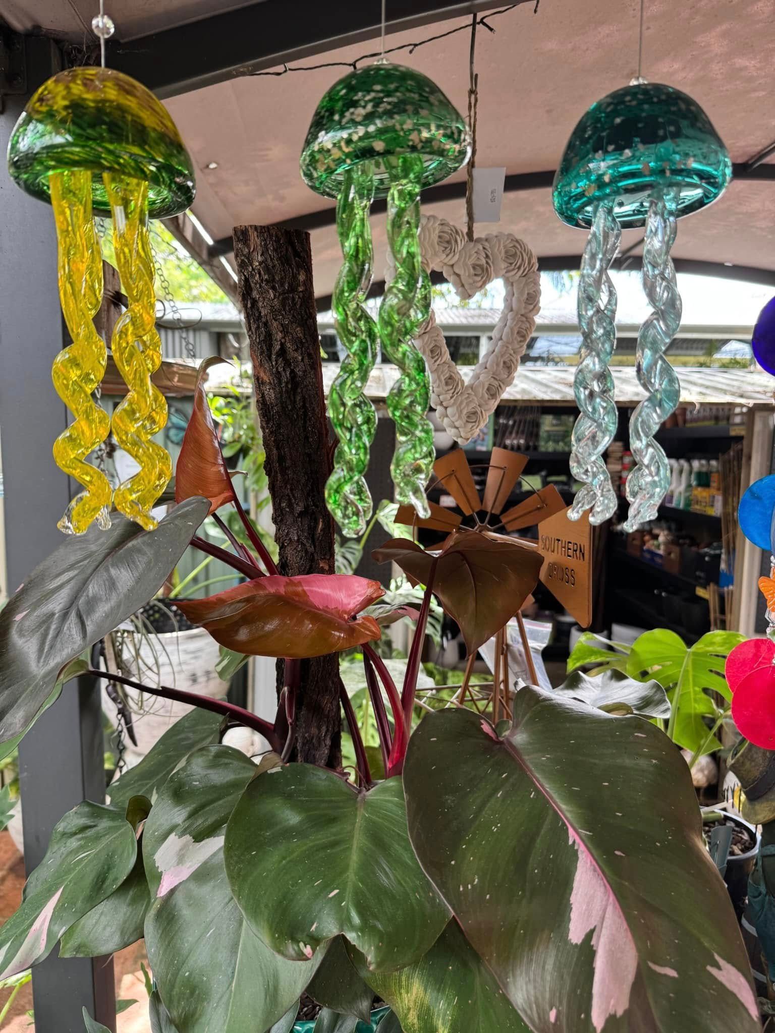 Three Colorful Glass Jellyfish Ornaments Hanging — Hinterland Foliage in Landsborough, QLD