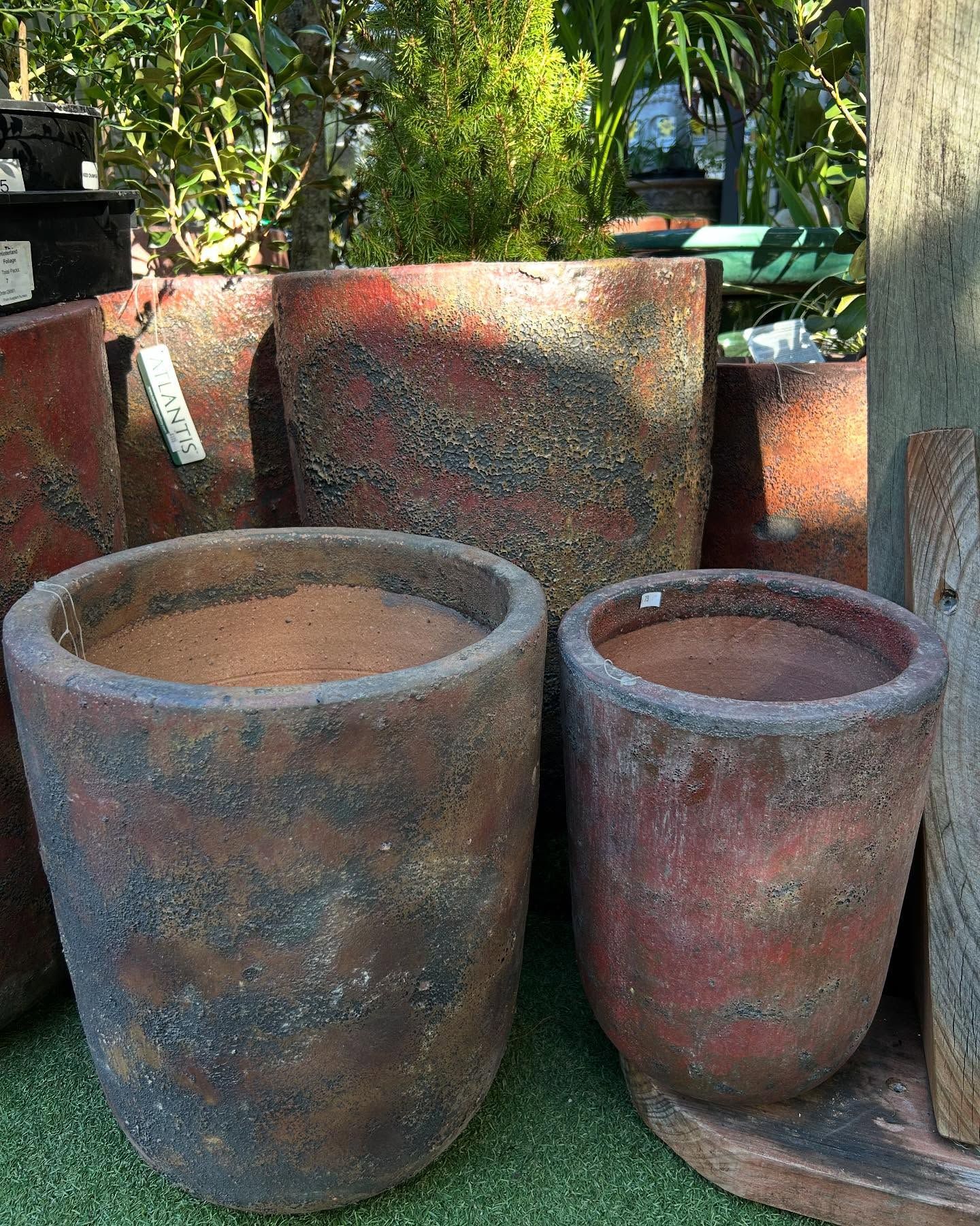Several Weathered Red and Brown Ceramic Planters of Varying Sizes — Hinterland Foliage in Landsborough, QLD