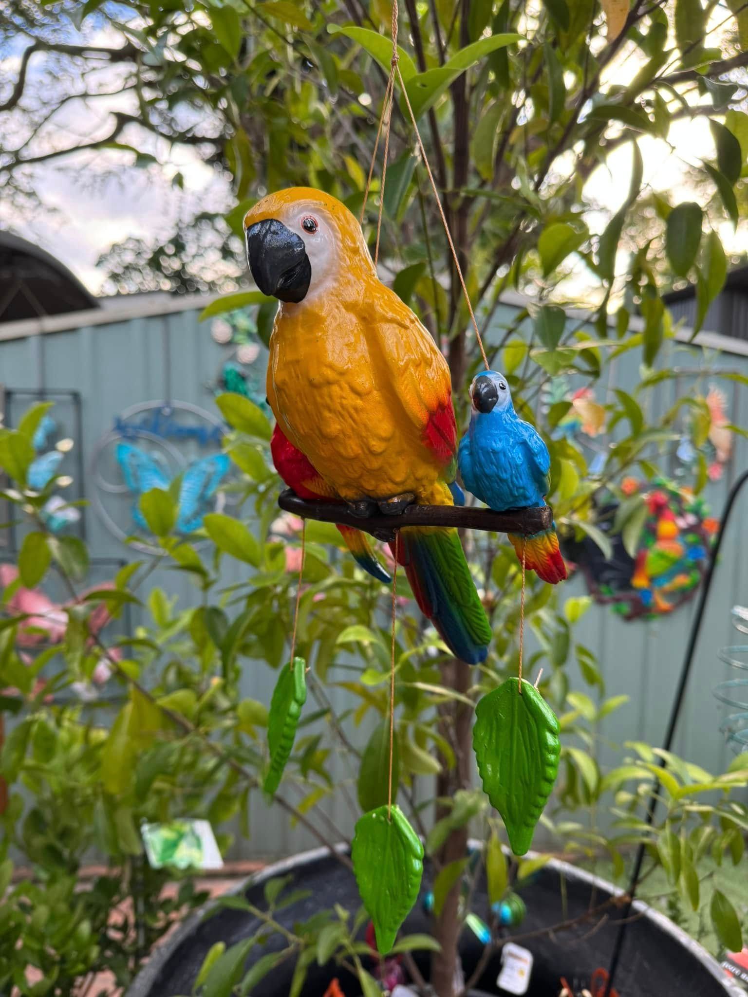 Yellow Parrot and Blue Bird Perched on a Branch, Hanging Ornament in a Garden — Hinterland Foliage in Landsborough, QLD