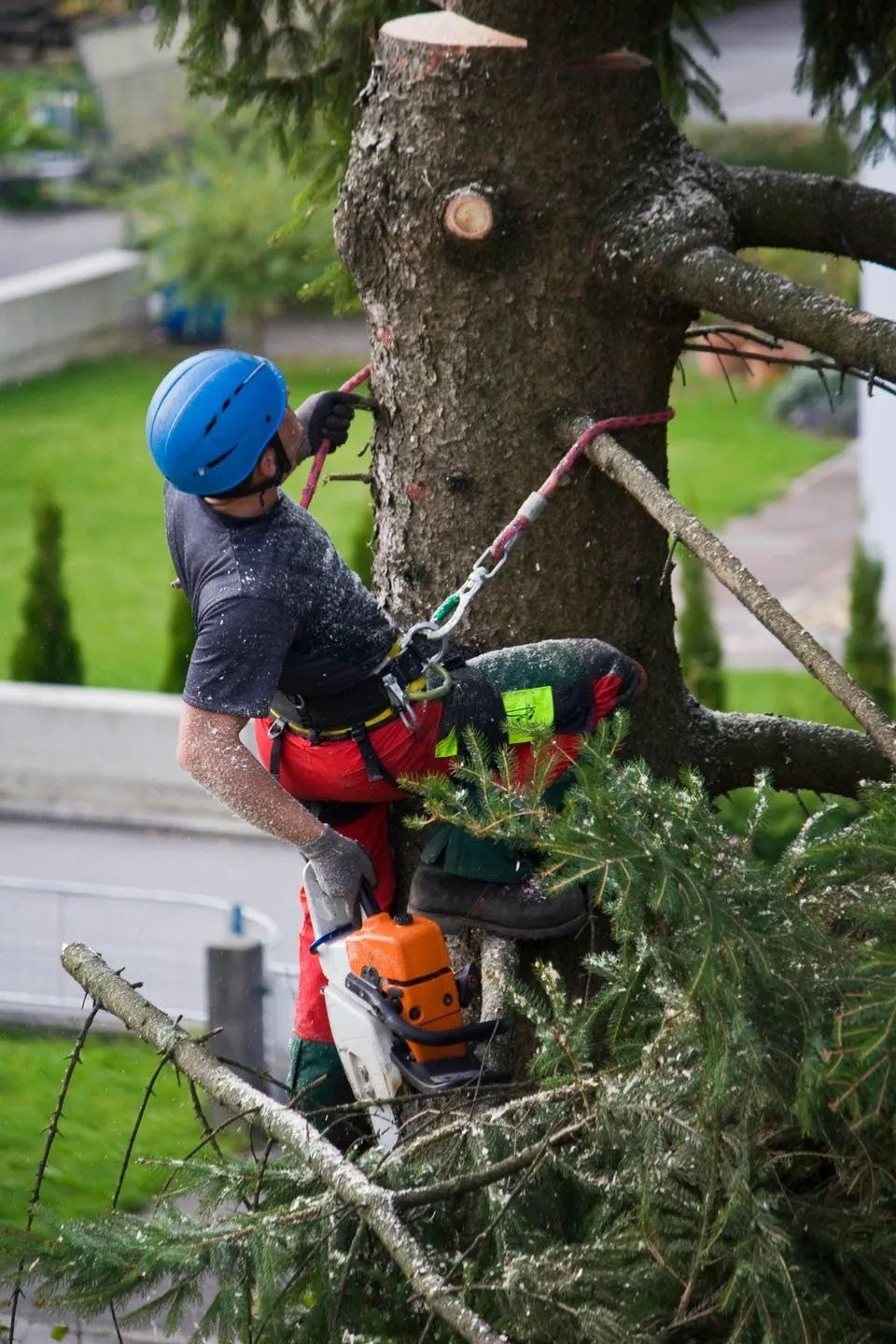 Woodchuck Tree Services Inc. Wake Forest, NC Tree Service Company