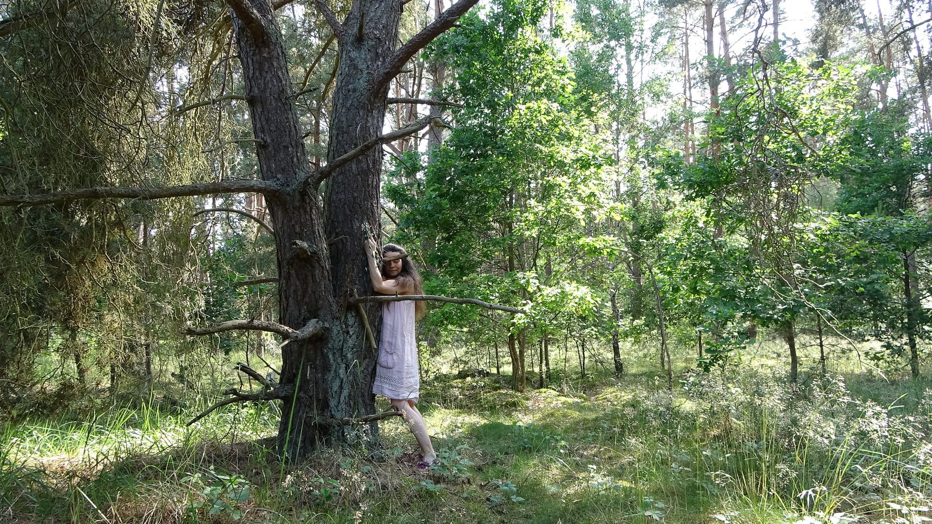 Eine Frau im Kleid steht in einem Wald und umarmt einen Baum