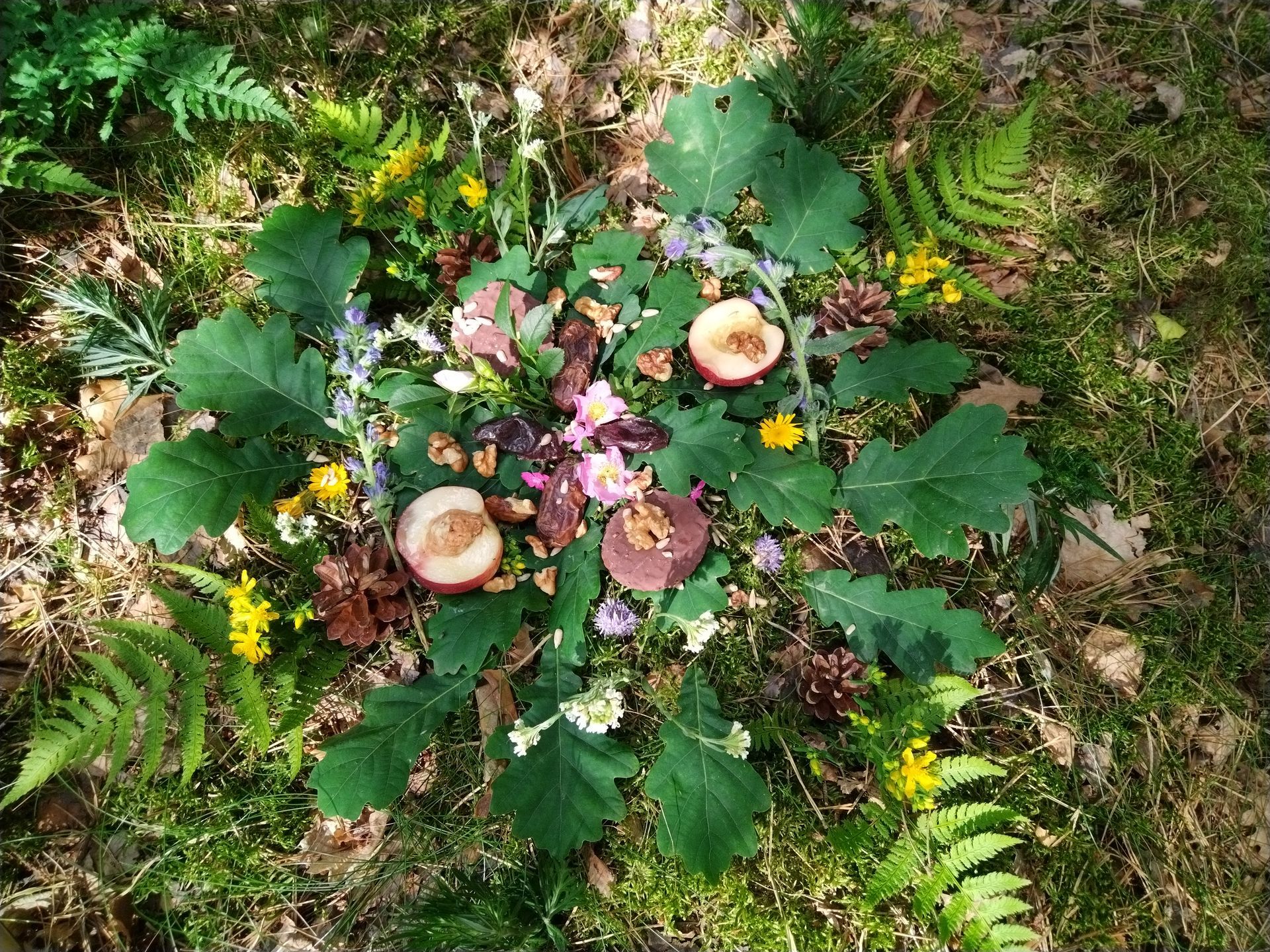 Ein Kreis mit Blumen und Früchten im Moos