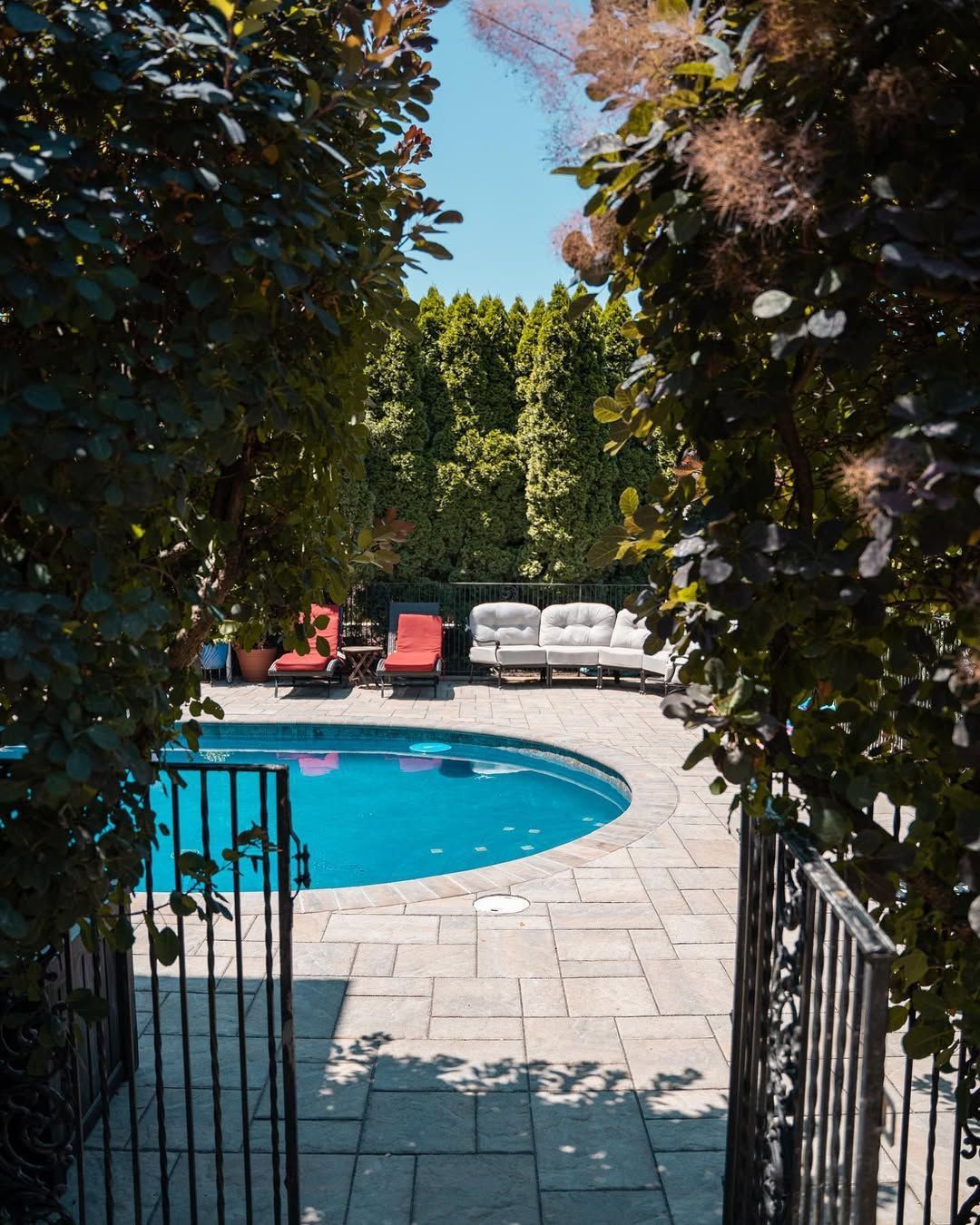 A bunch of purple flowers with green leaves in a blue vase.