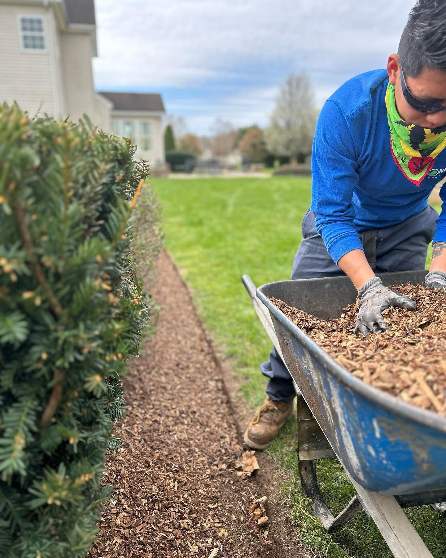 A man is pushing a wheelbarrow full of mulch.