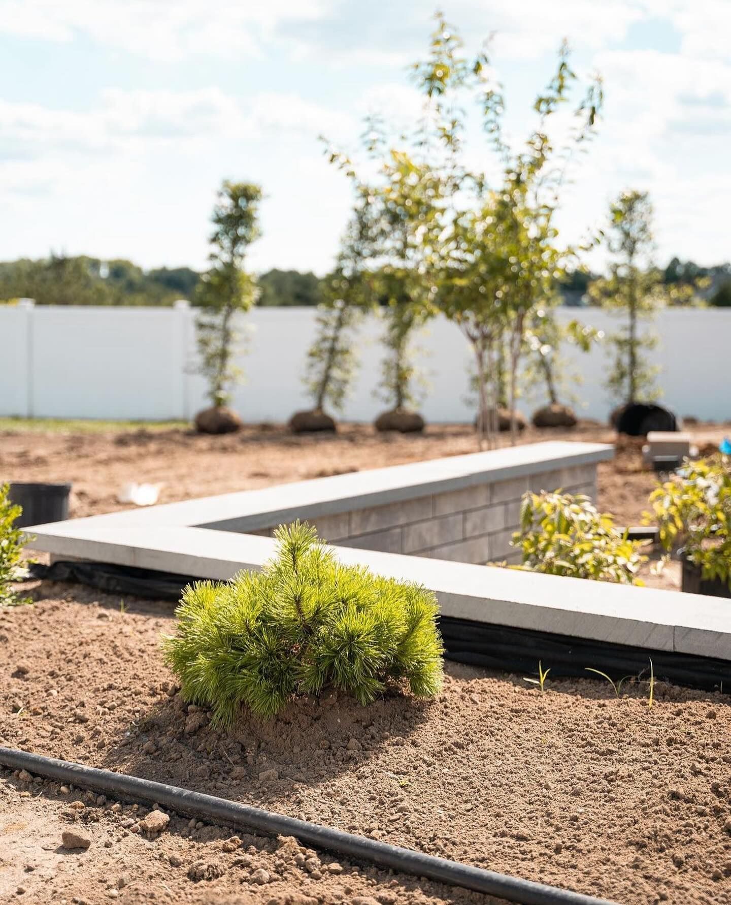 A garden is being built in a backyard with a white fence in the background.