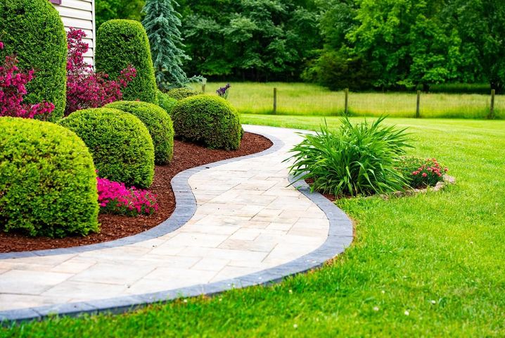 There is a walkway in the middle of a lush green garden.