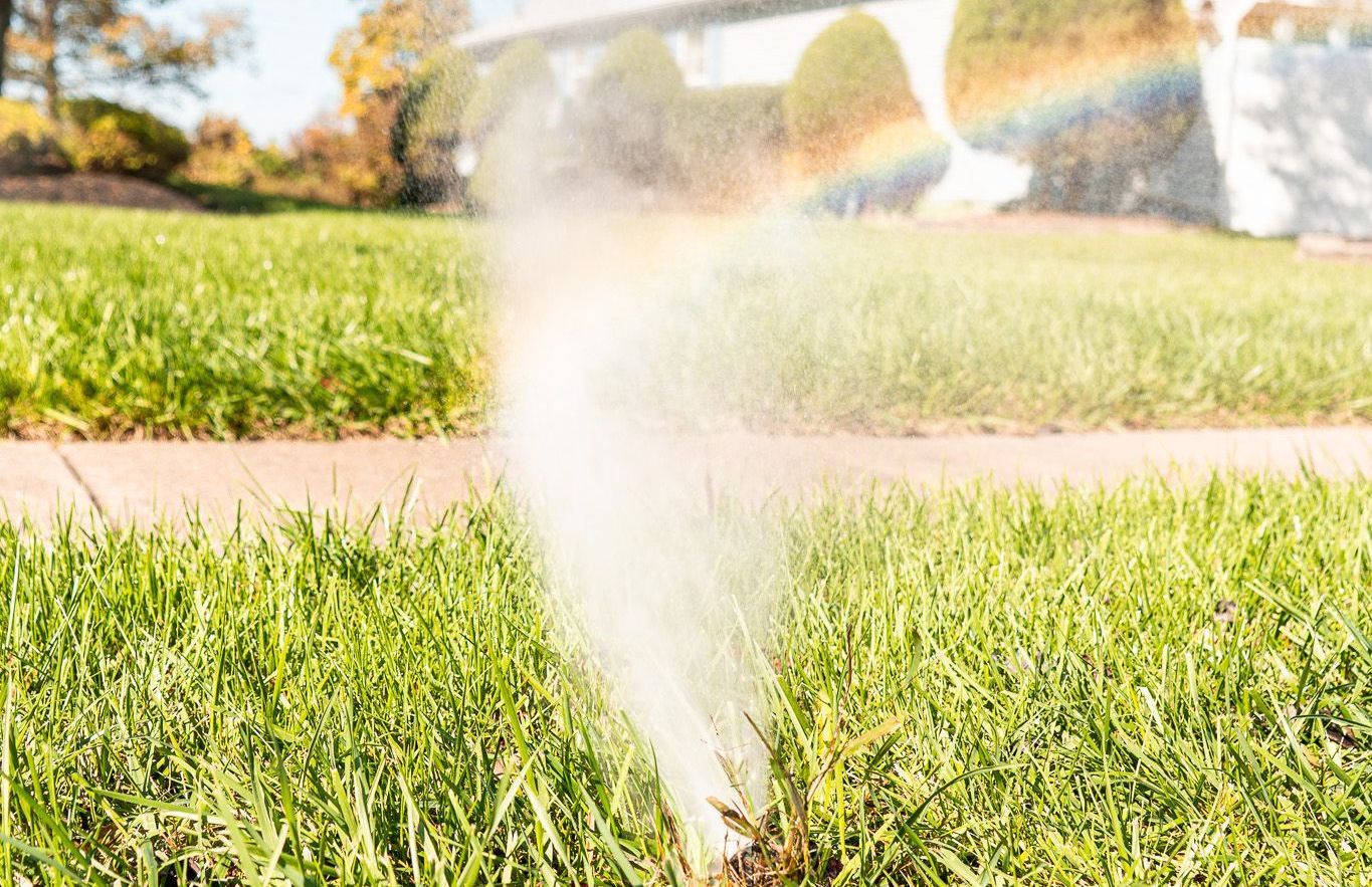 A sprinkler is spraying water on a lush green lawn.