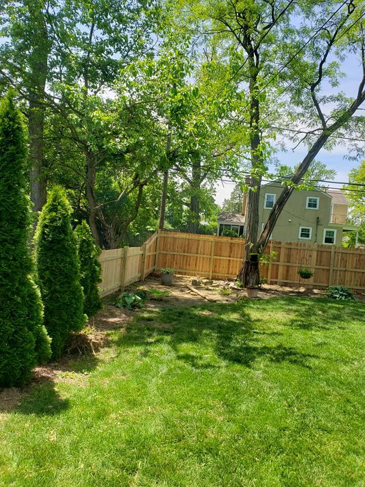 A backyard with a wooden fence and trees in the background.