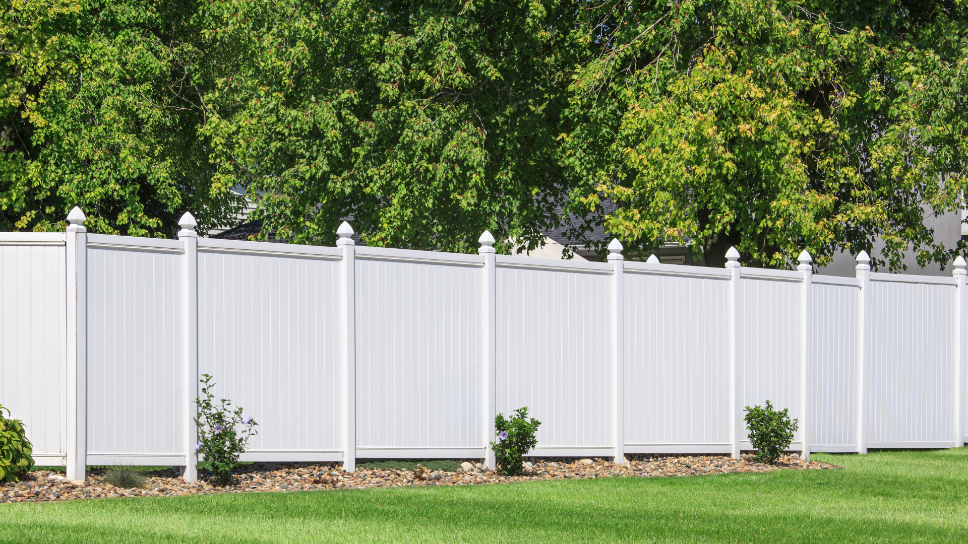 A white fence surrounds a lush green lawn with trees in the background.