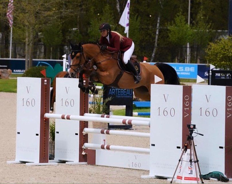 Springpaard Arizona d'Ive op een internationale springwedstrijd in het Sentower Park