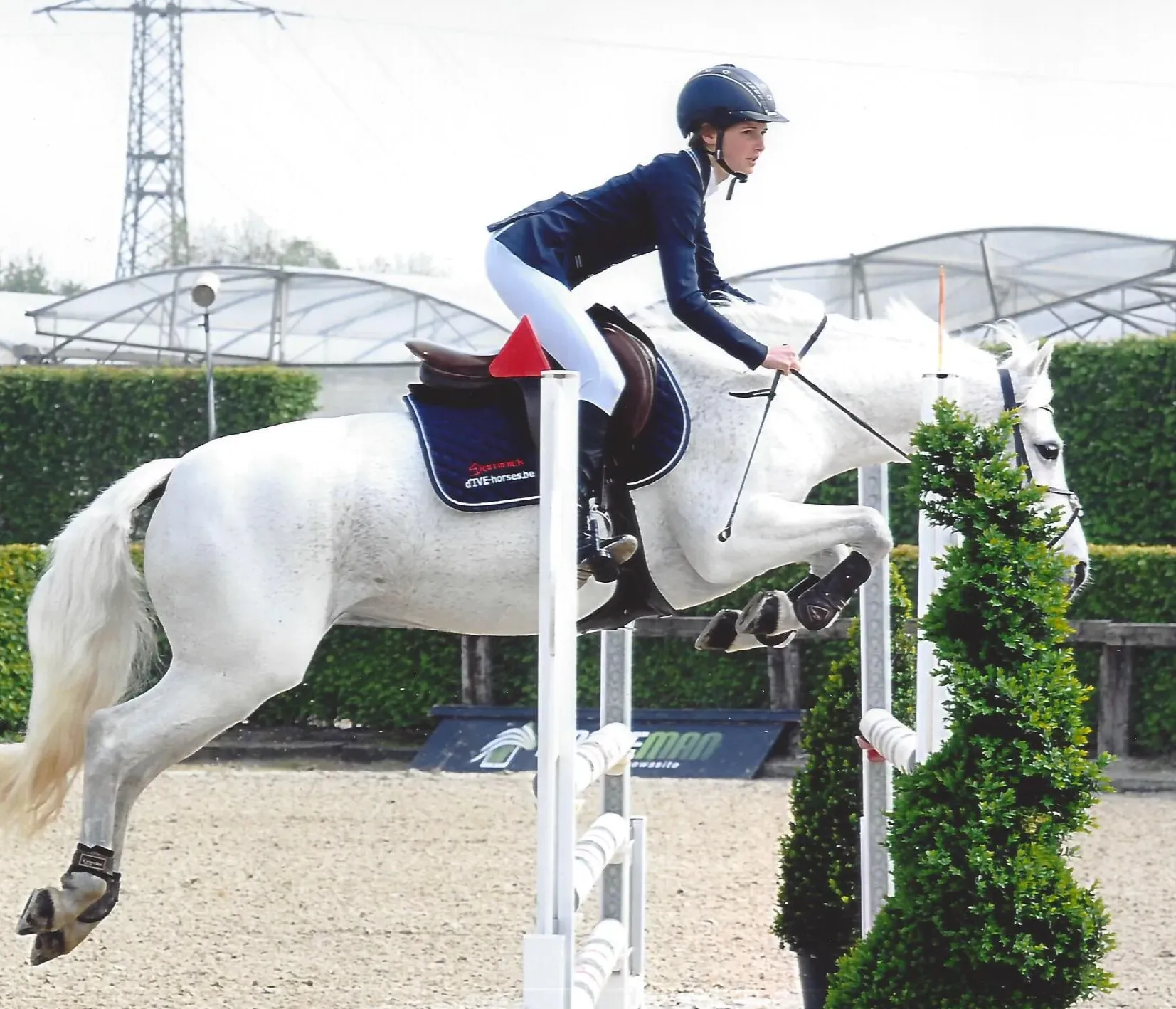 Dominick paardendekens onderlegger/dekje.
pony op wedstrijd d'Ive-horsecare