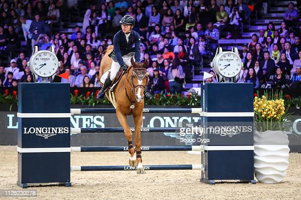 Olympisch springpaard / showjumper For passion d'Ive - ive horses - stal d'Ive - goedgekeurde dekhengst / approved stallion