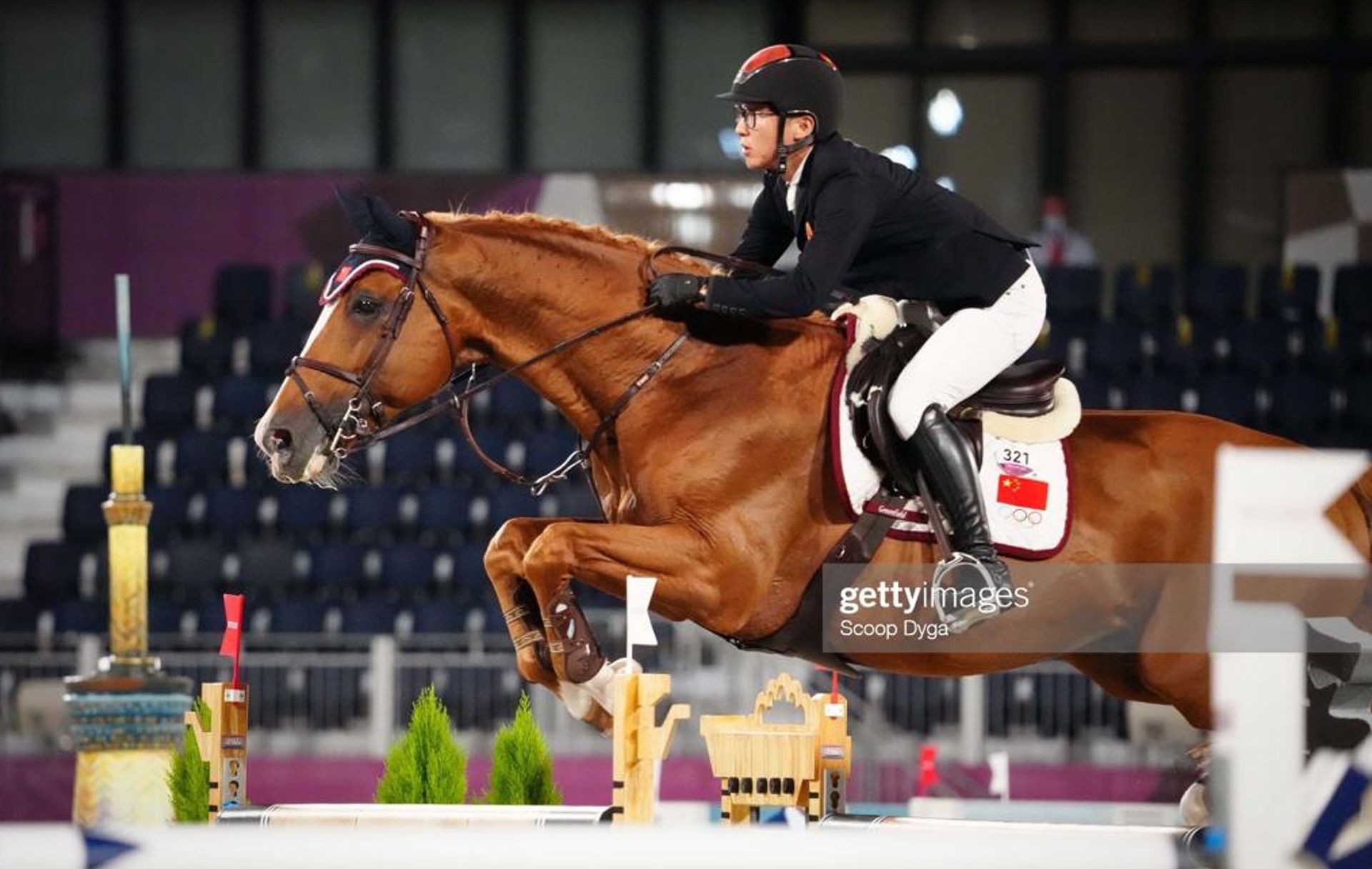 Dekhengst Springpaard / showjumper For Passion d'Ive - Olympische spelen Tokio / Olympics Tokyo - ive horses - stal d'Ive